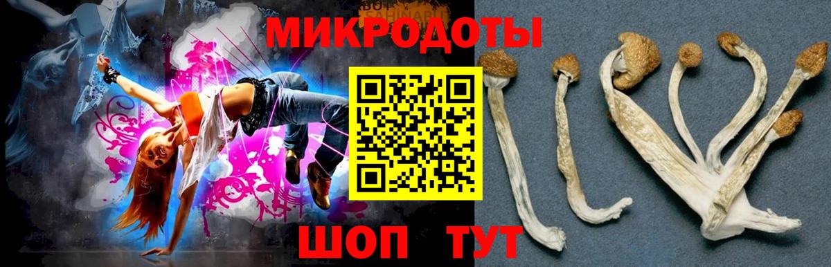Псилоцибиновые грибы GOLDEN TEACHER Архангельск